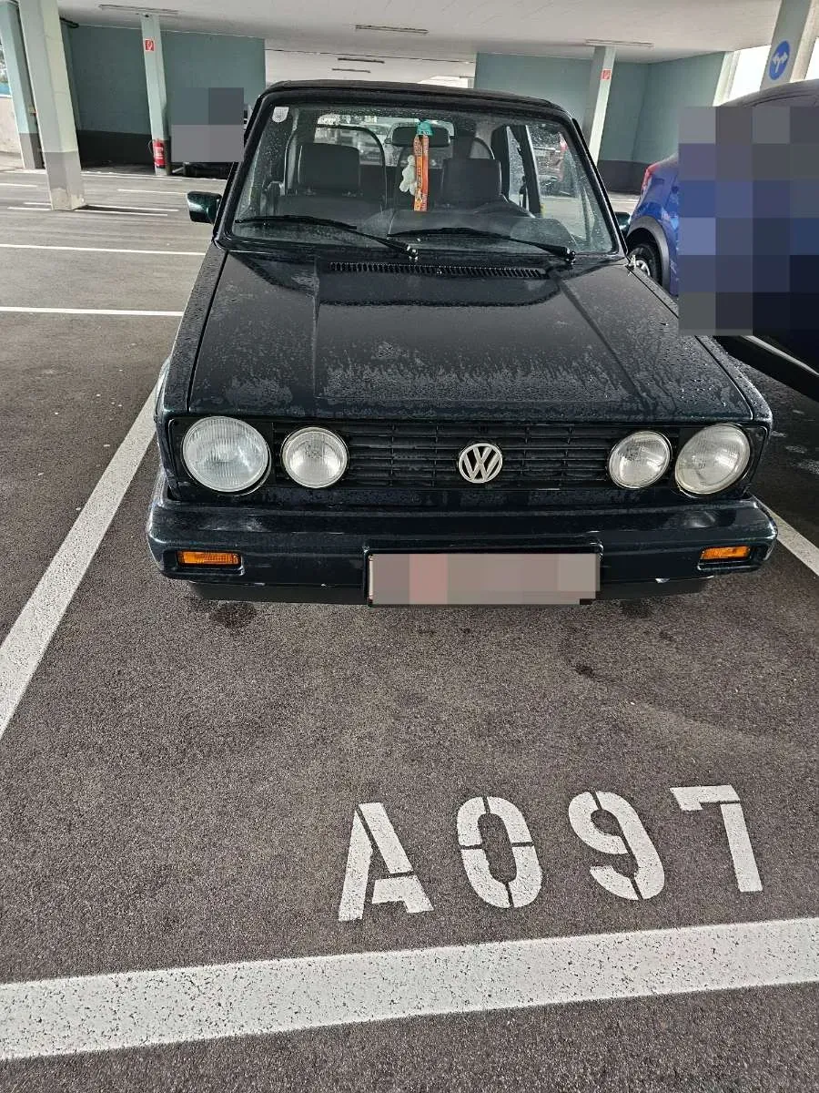 Volkswagen Golf 1993 photo 2