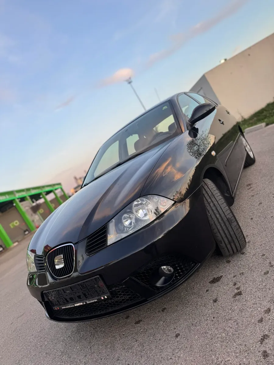 Seat Ibiza 2006 photo 3