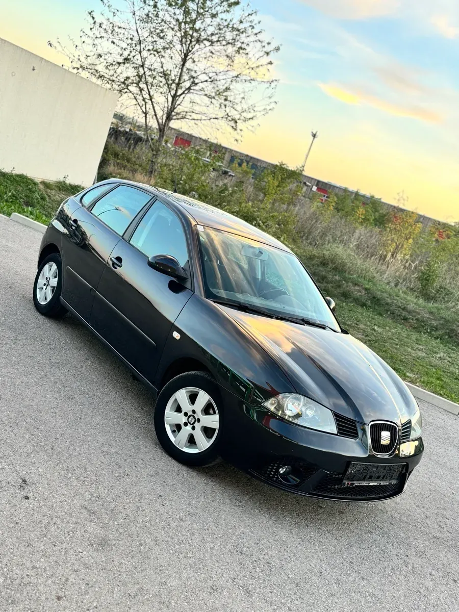 Seat Ibiza 2006 photo 2