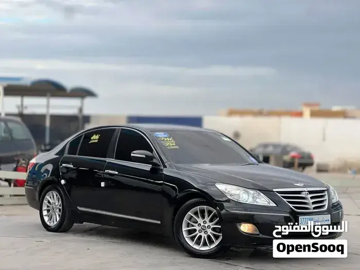 Genesis Sonata 2010 photo 3