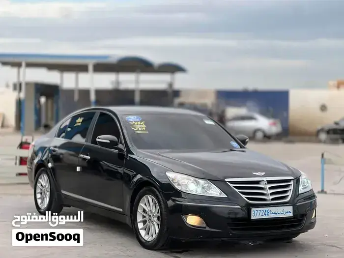 Genesis Sonata 2010 photo 2