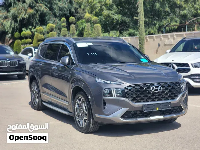 Hyundai Santa Fe 2023 photo 3