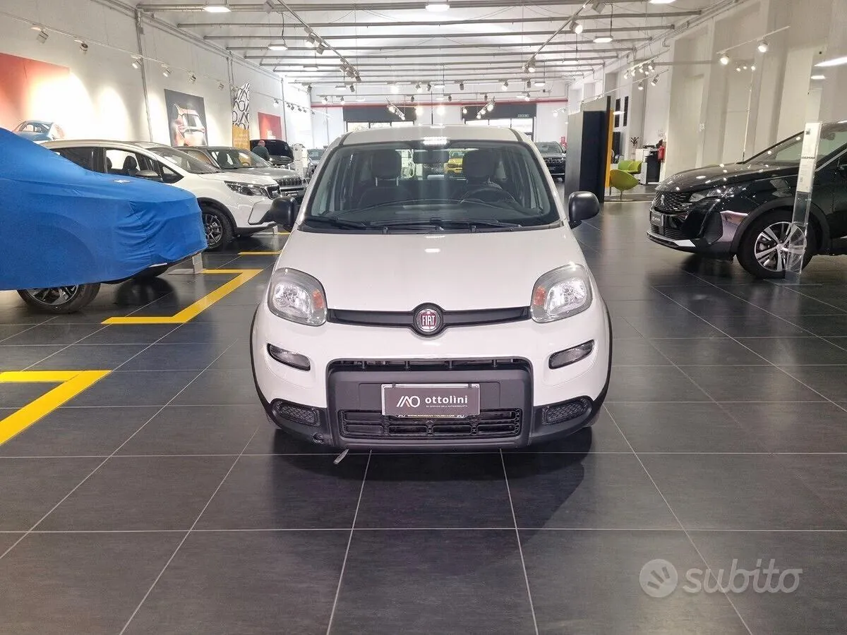 Fiat Panda 2024 photo 2