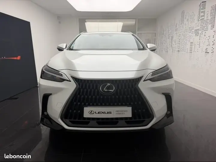 Lexus Nx 2024 photo 2