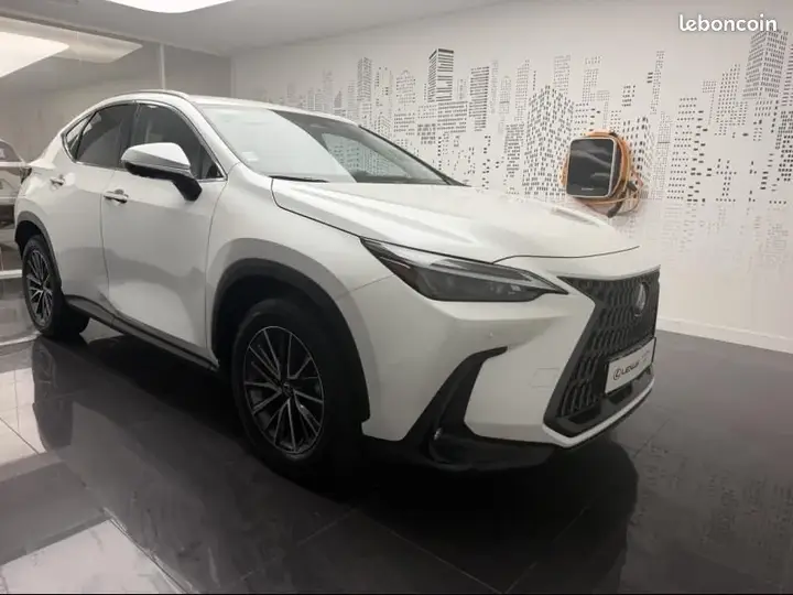 Lexus Nx 2024 photo 3