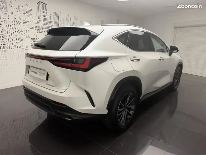 Lexus Nx 2024 photo 4