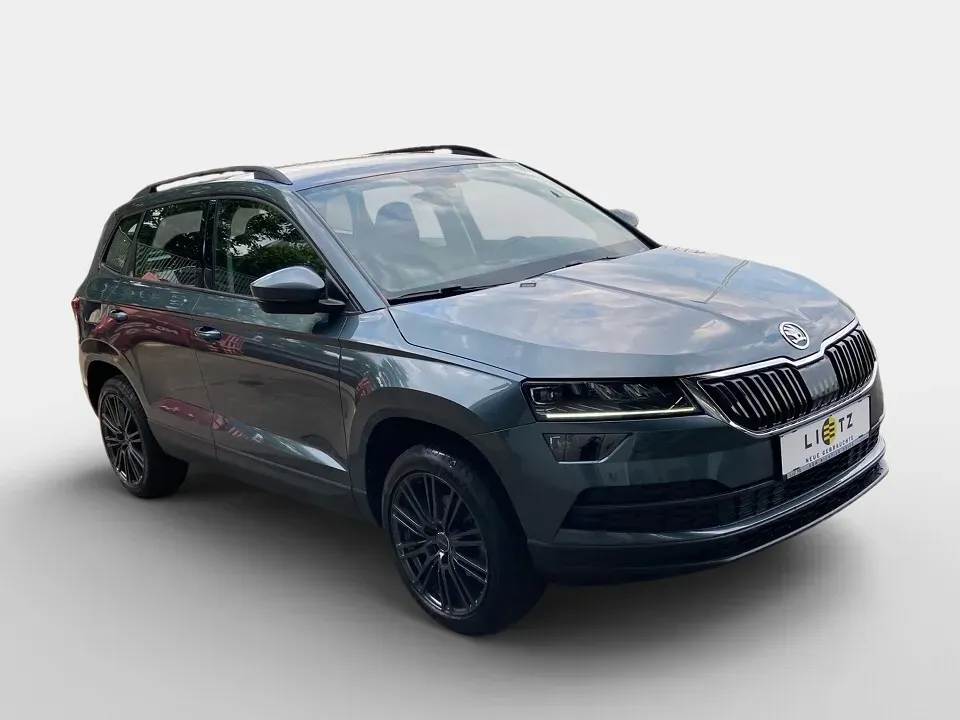 Skoda Karoq 2020 photo 2