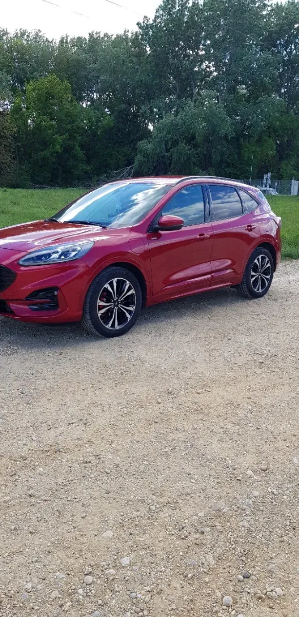 Ford Kuga 2020 photo 2