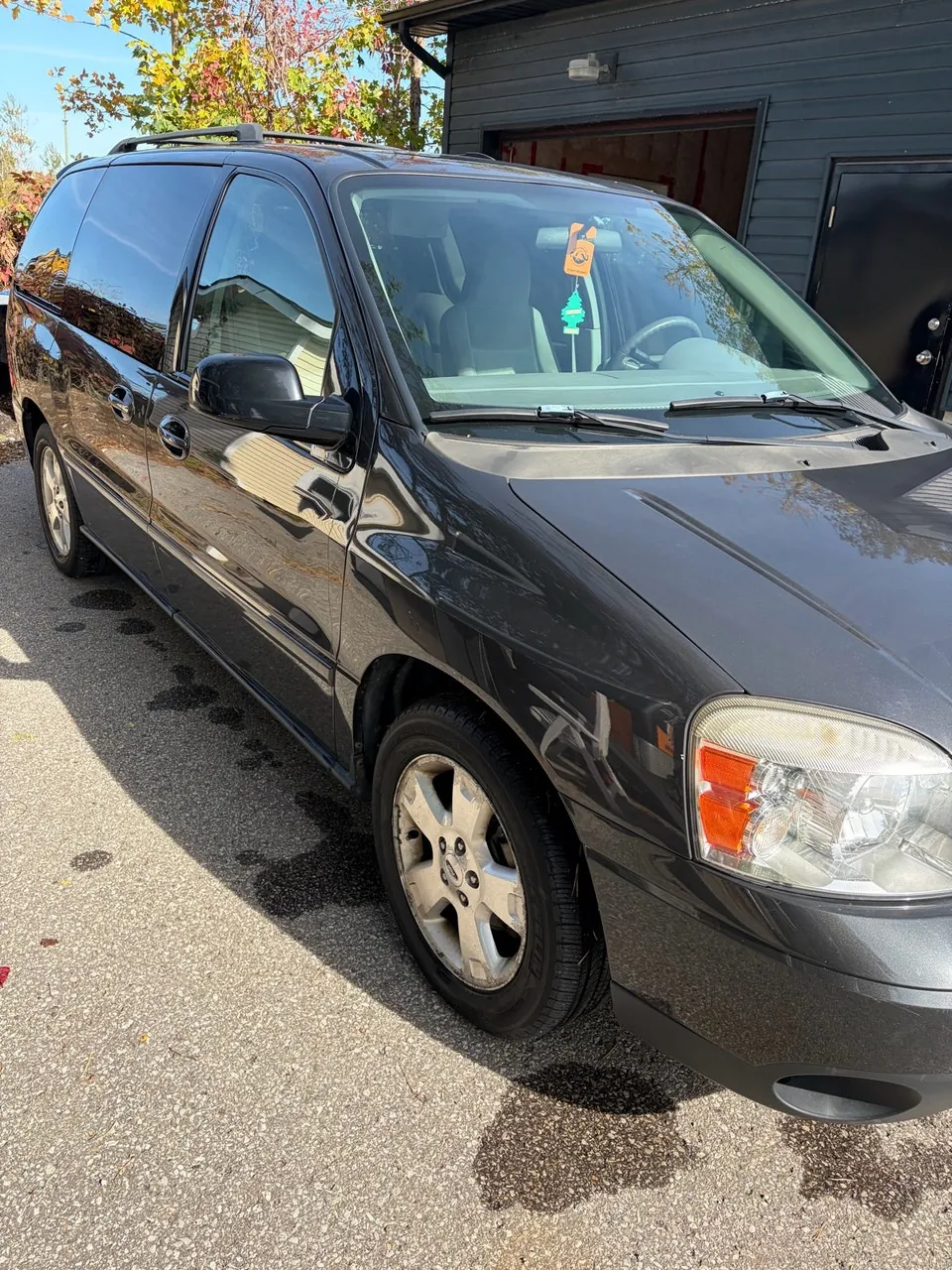 Ford Freestar 2007 photo 2