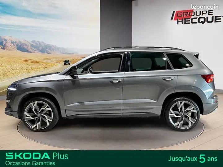 Skoda Karoq 2025 photo 2