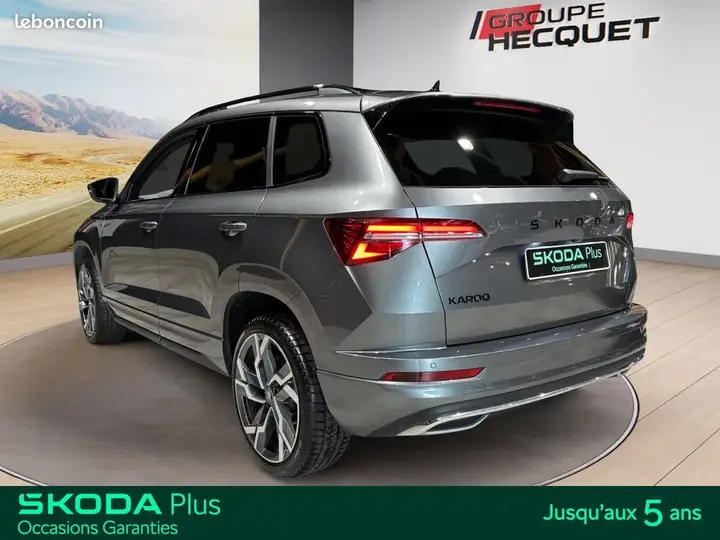 Skoda Karoq 2025 photo 3