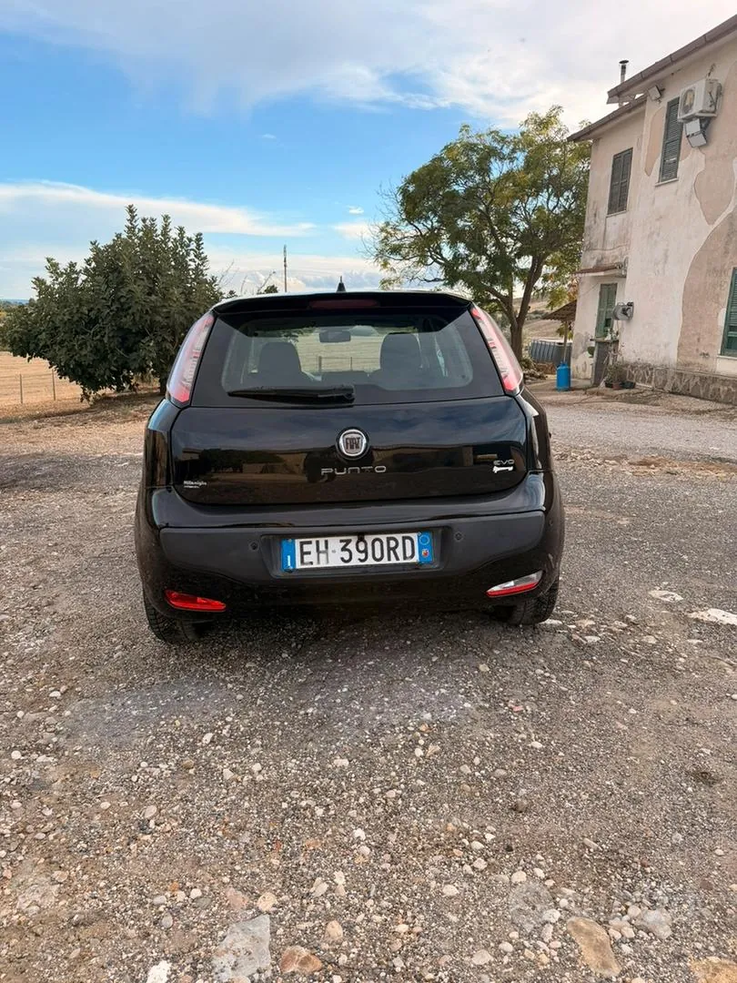 Fiat Punto 2011 photo 4