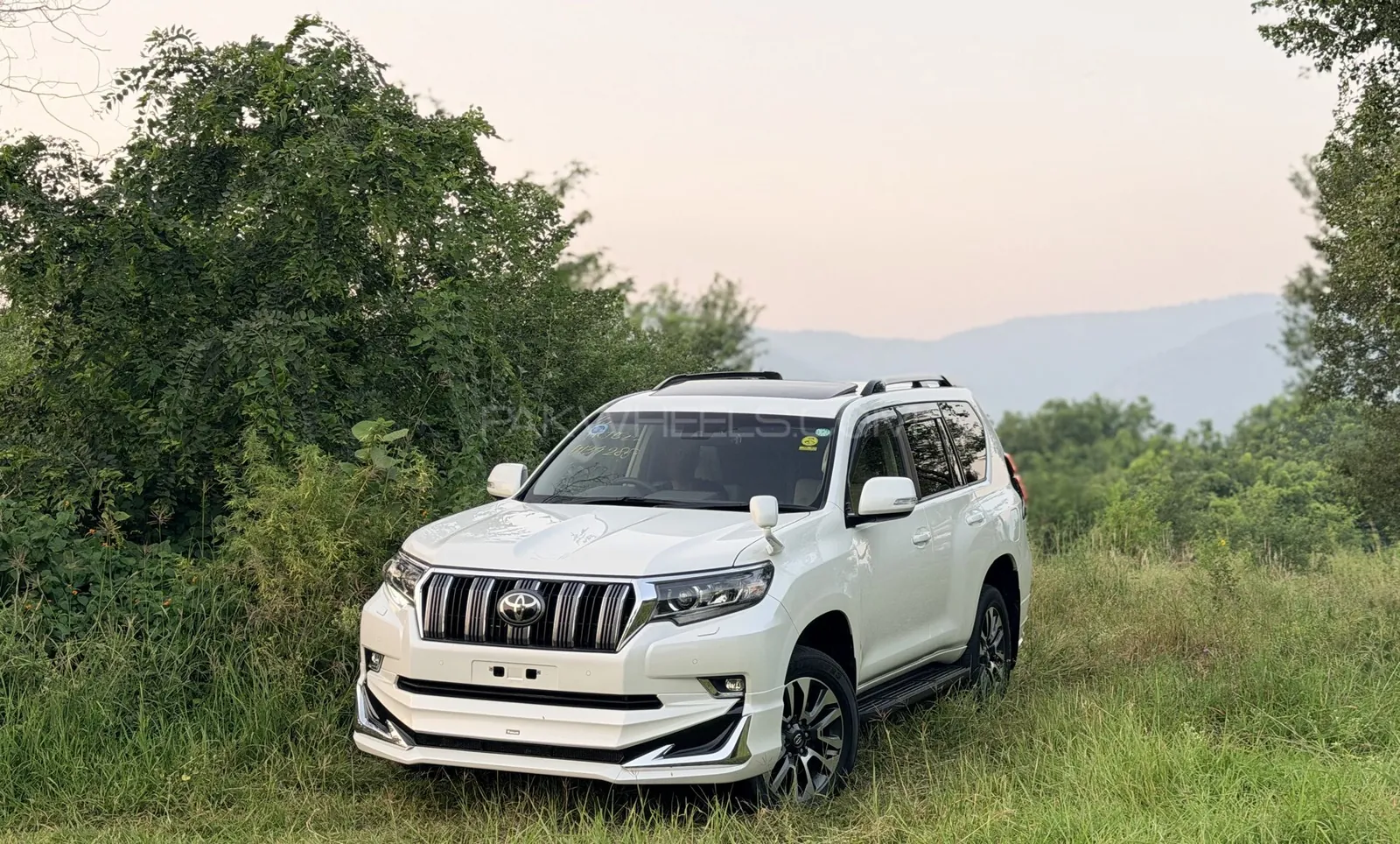 Toyota Prado
