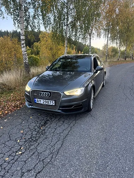 Audi A3 2016 photo 2