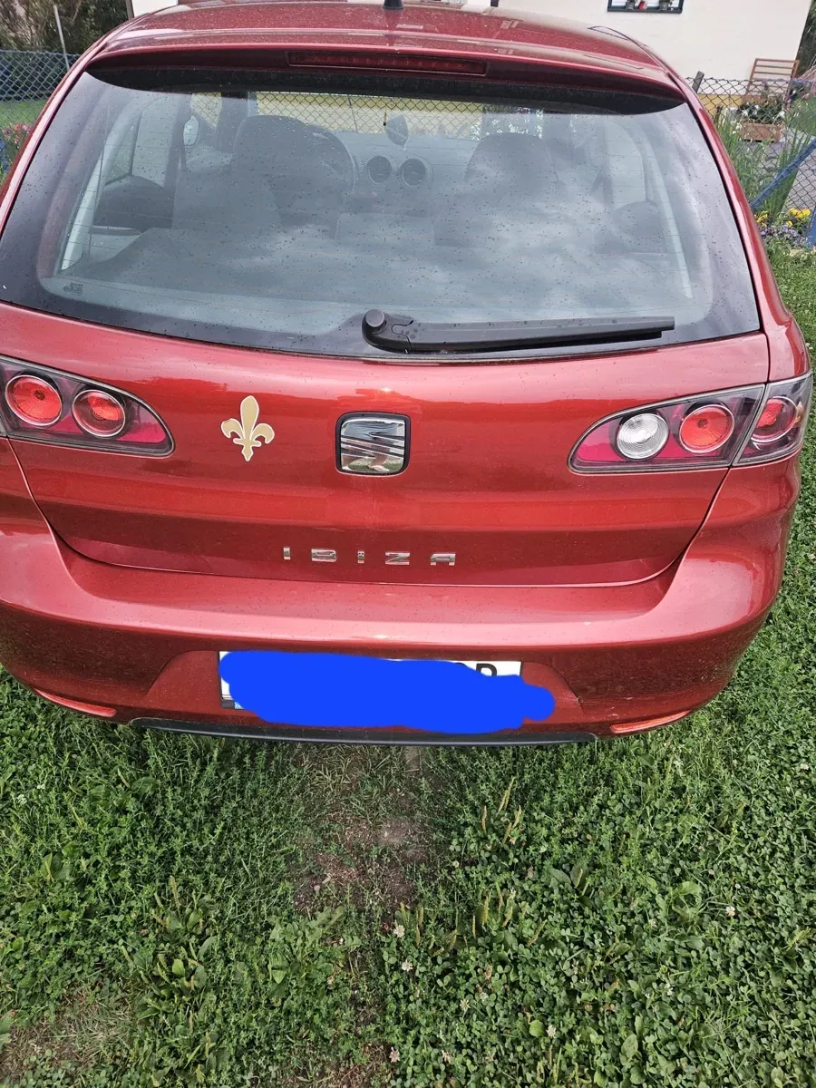 Seat Ibiza 2008 photo 3