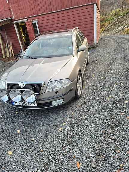 Skoda Octavia 2008 photo 2