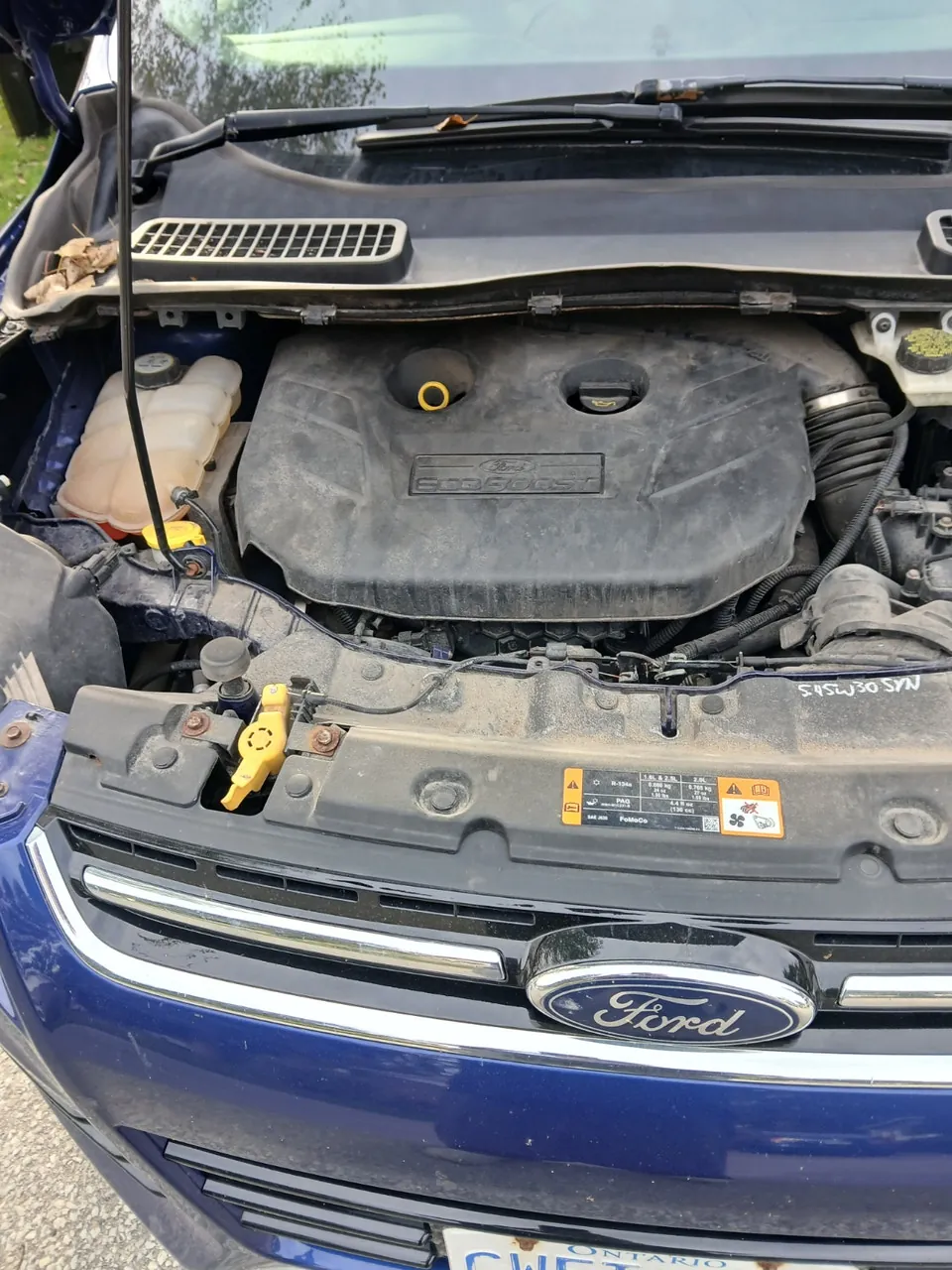 Ford Escape 2013 photo 4