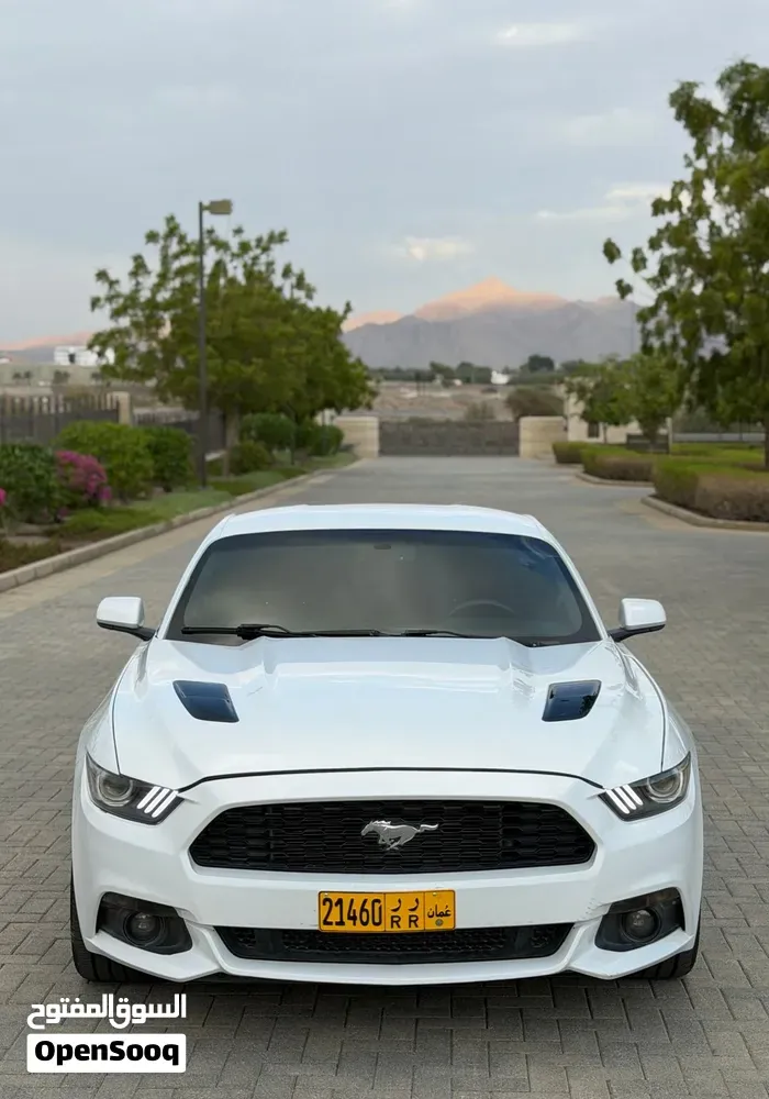 Ford Mustang 2018 photo 2