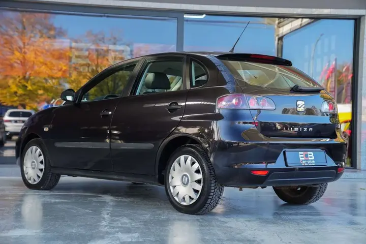 Seat Ibiza 2009 photo 3