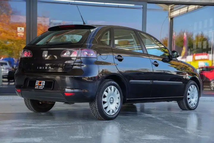 Seat Ibiza 2009 photo 5