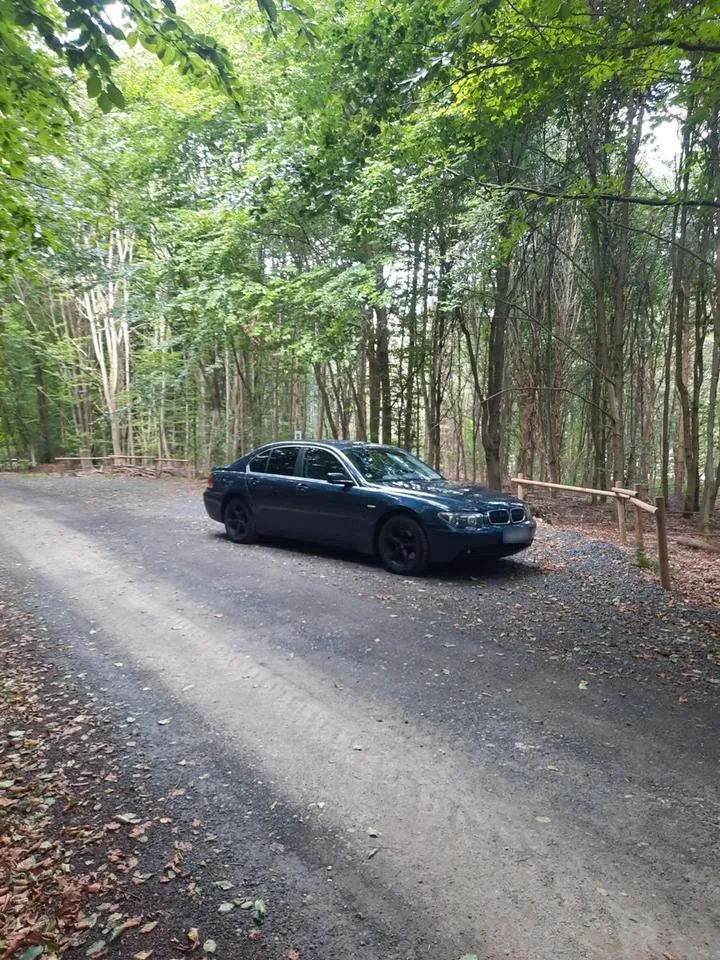 BMW 735Li A