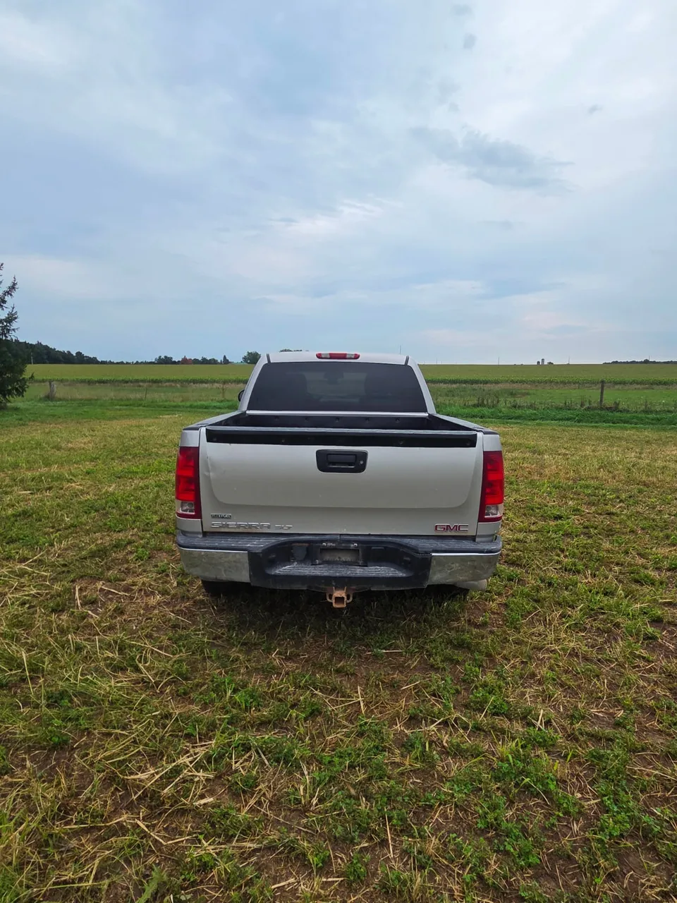 GMC Sierra 1500 2008 photo 3