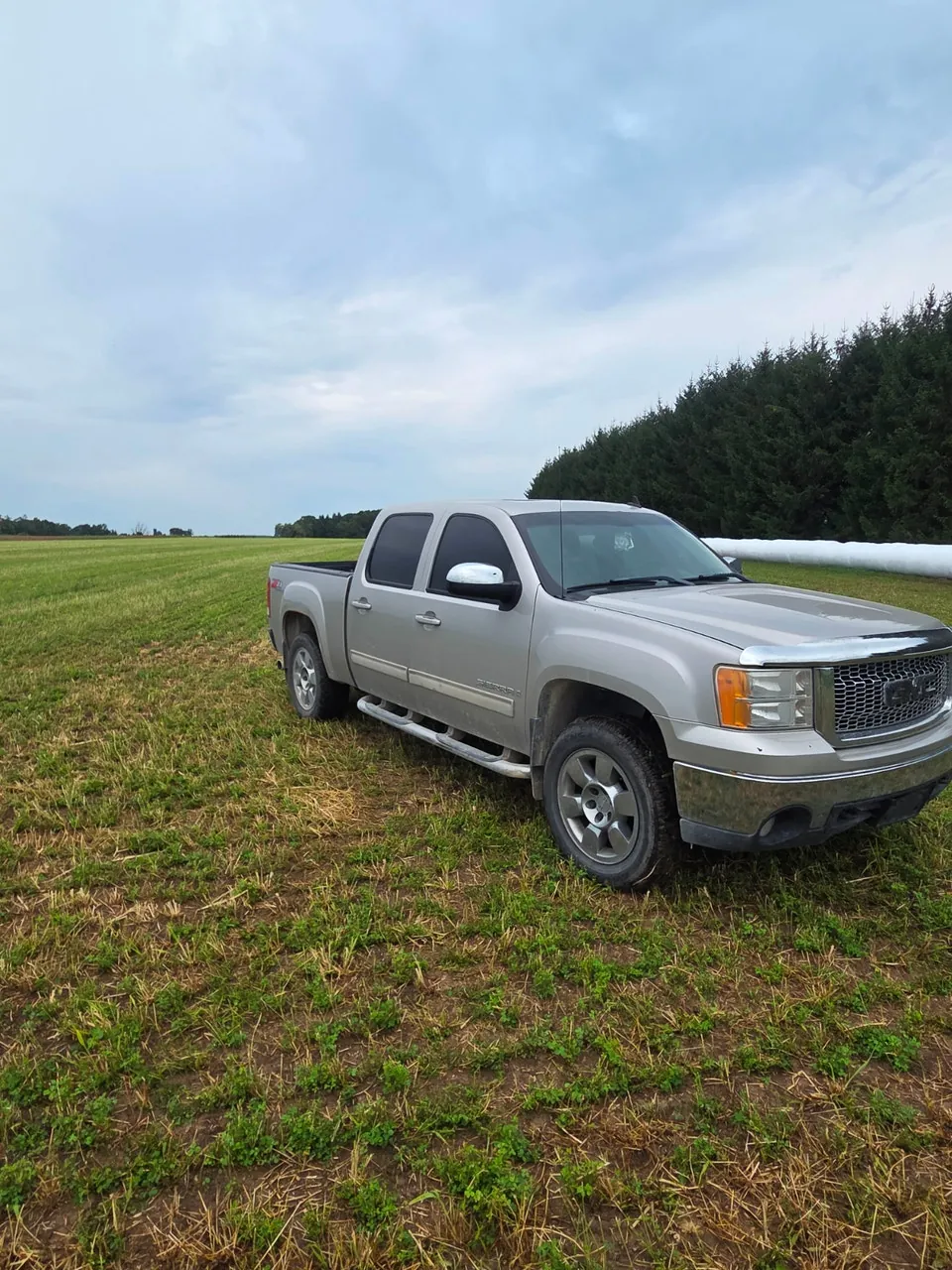 GMC Sierra 1500 2008 photo 2
