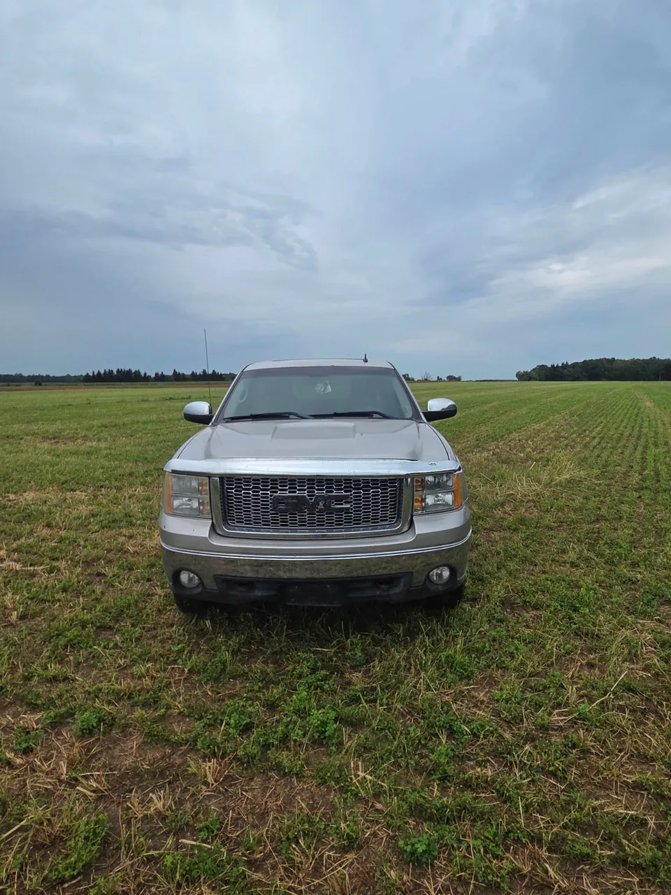 GMC Sierra 1500 2008 photo 4