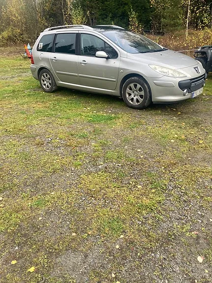 Peugeot 307 Sw