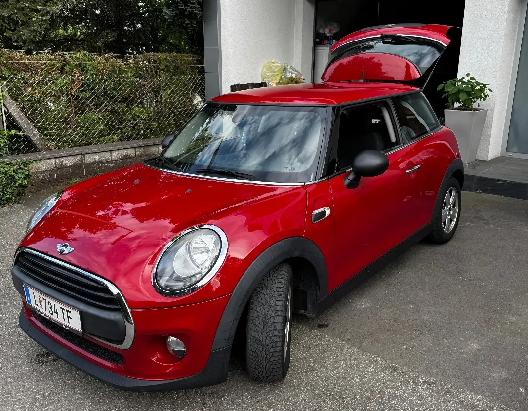 Mini Mini