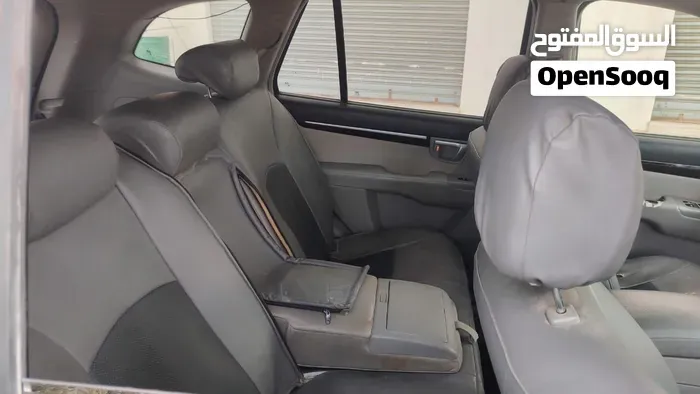 Hyundai Santa Fe 2009 photo 3