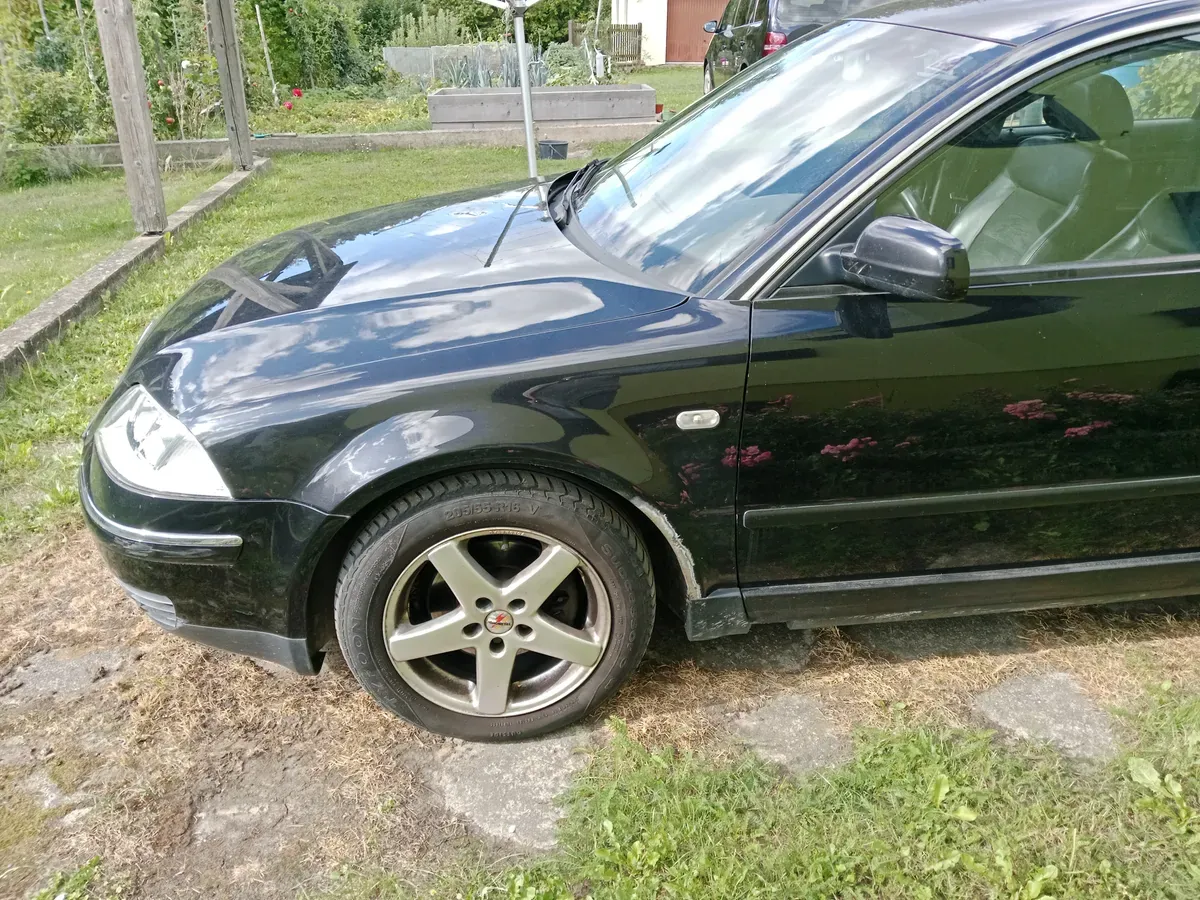 Volkswagen Passat 2002 photo 3