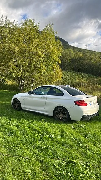 BMW 220I 2014 photo 2