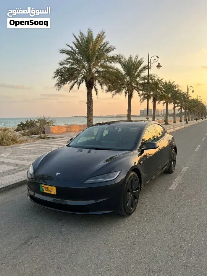 Tesla Model 3 2025 photo 2