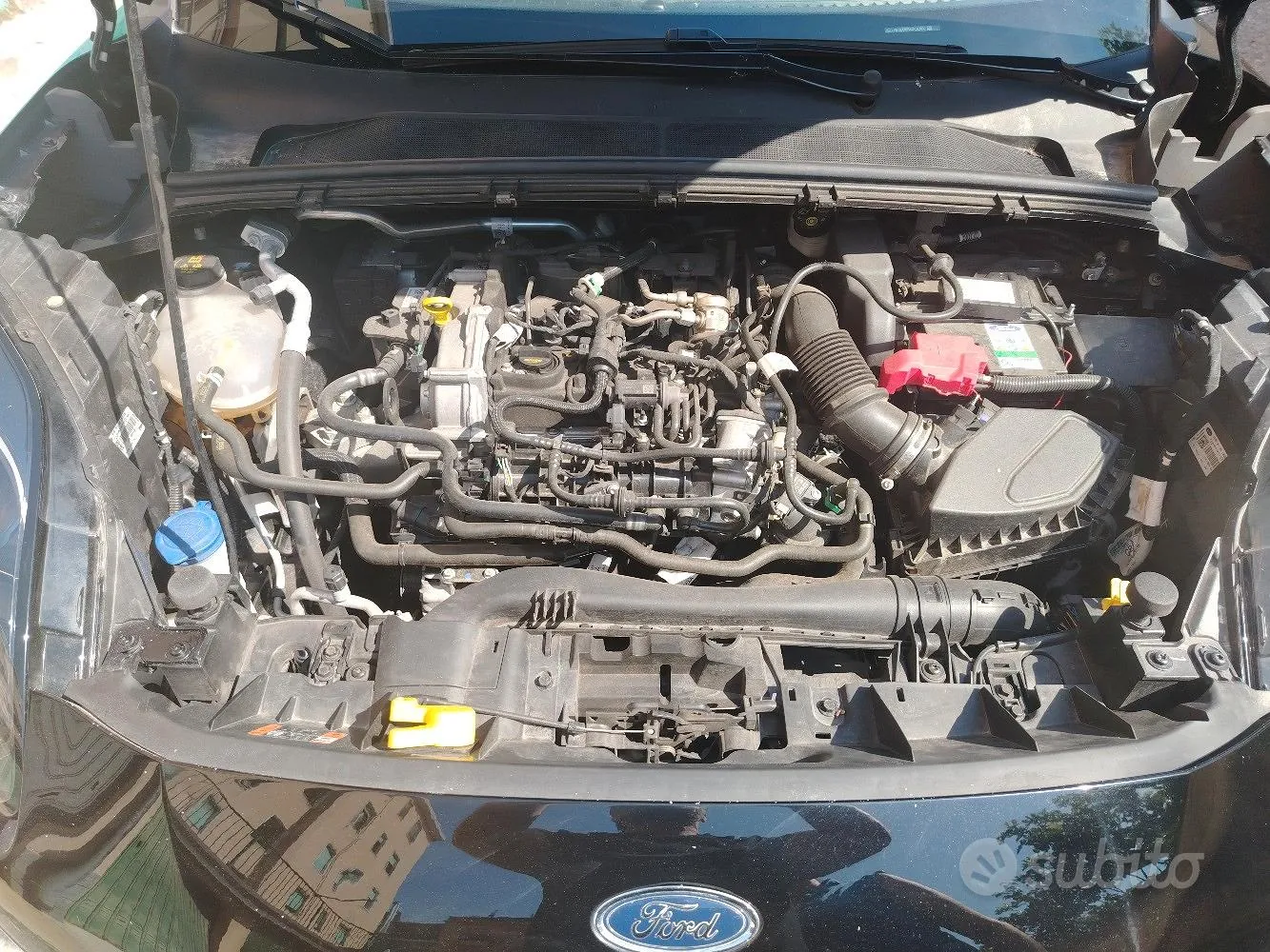 Ford Puma 2024 photo 3