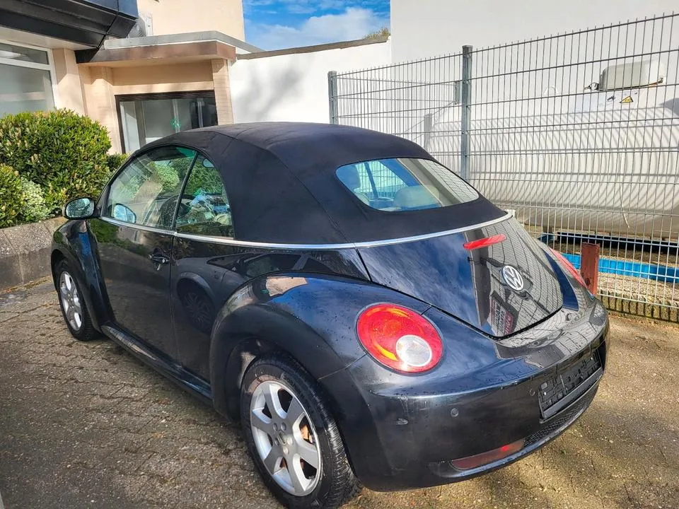 Volkswagen Beetle Cabrio