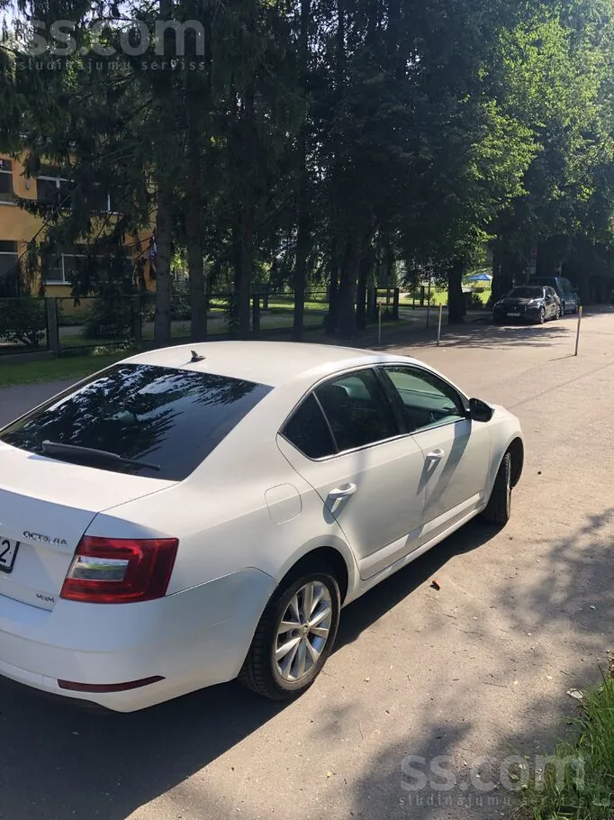 Skoda Octavia 2019 photo 5