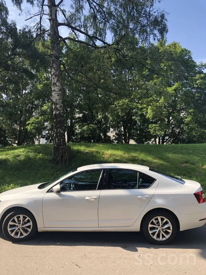 Skoda Octavia 2019 photo 3