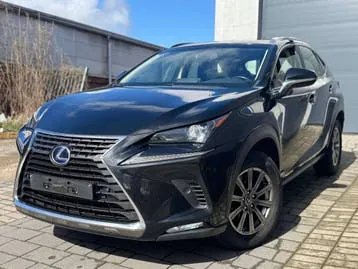 Lexus Nx 2018 photo 3