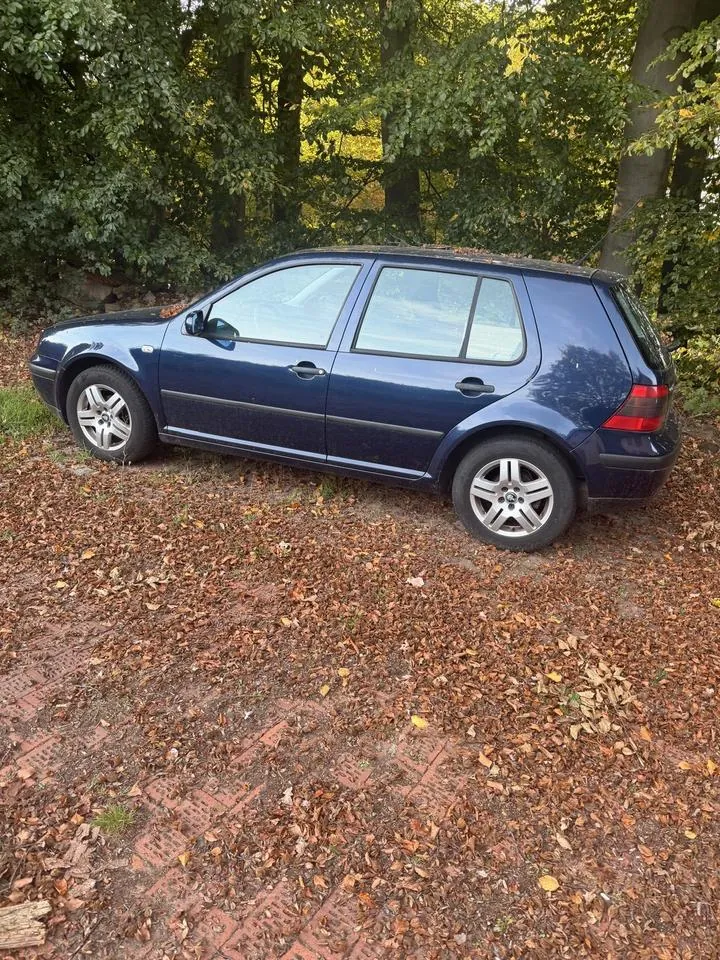 Volkswagen Golf 4