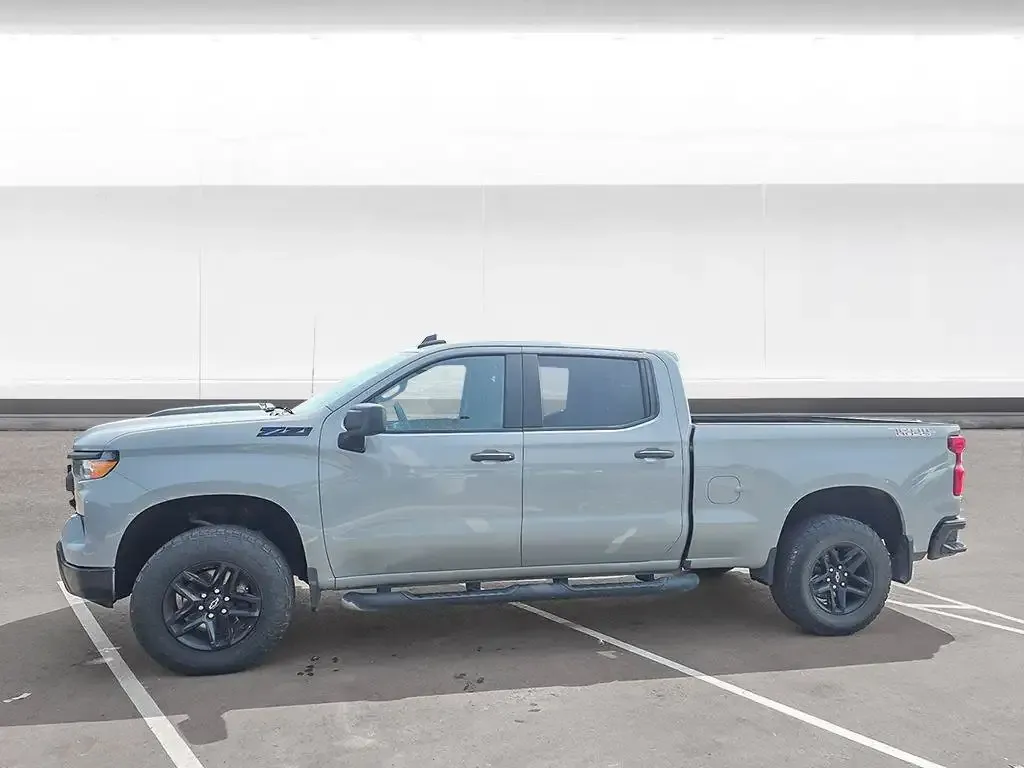 Chevrolet Silverado 1500 2024 photo 2