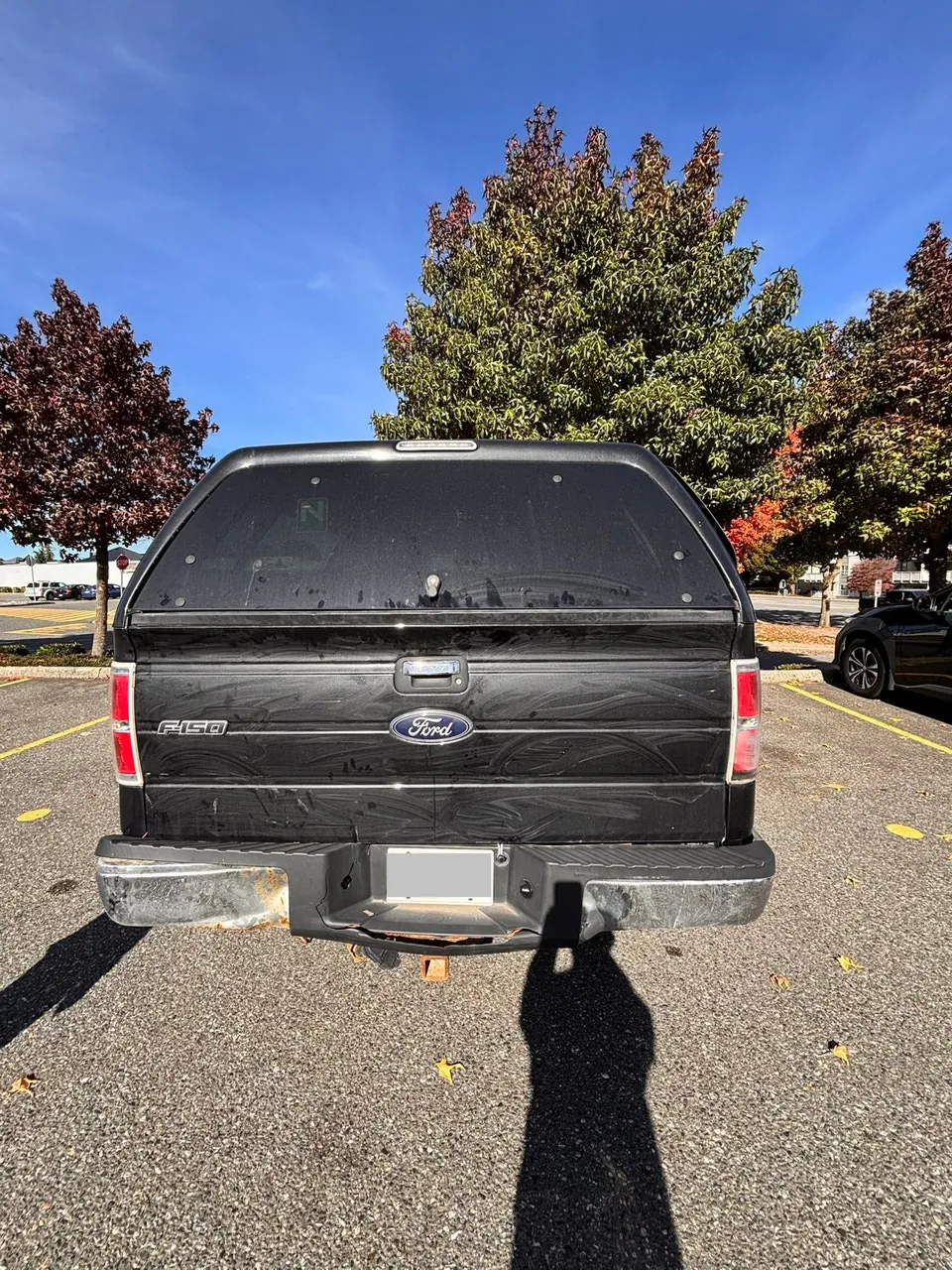 Ford F-150 2013 photo 2