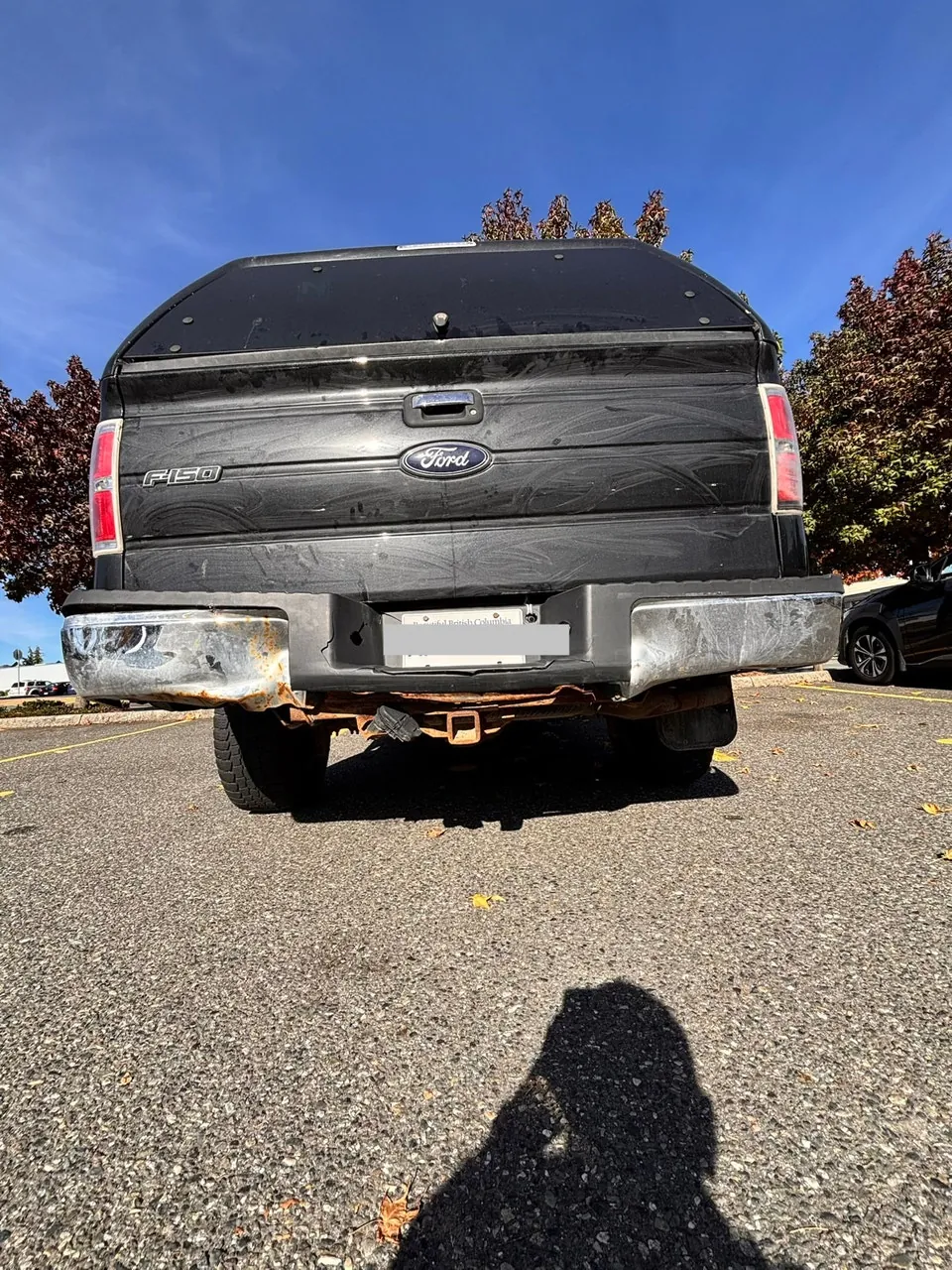 Ford F-150 2013 photo 4