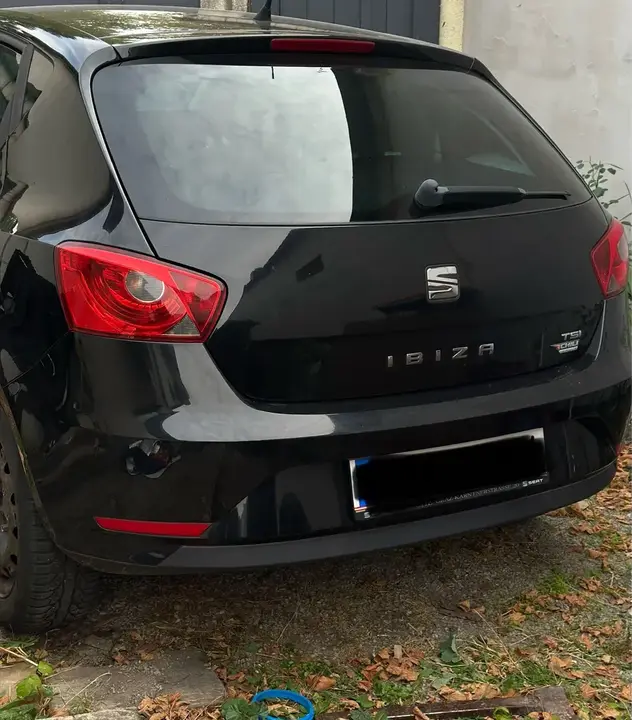 Seat Ibiza 2015 photo 3