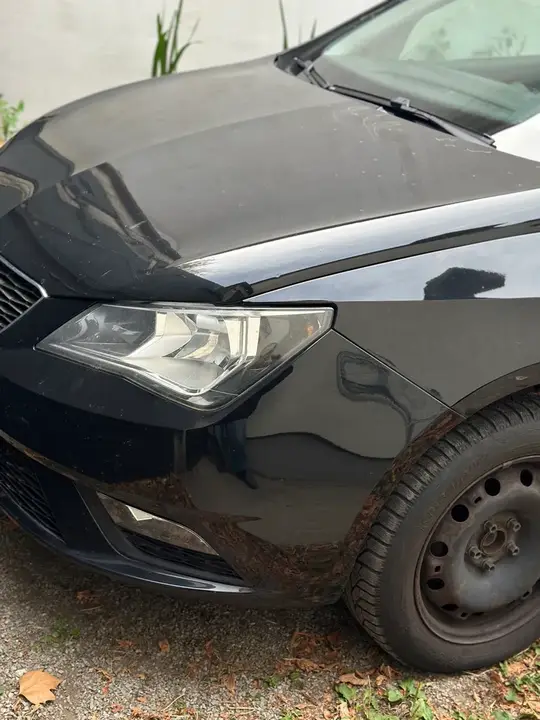 Seat Ibiza 2015 photo 2
