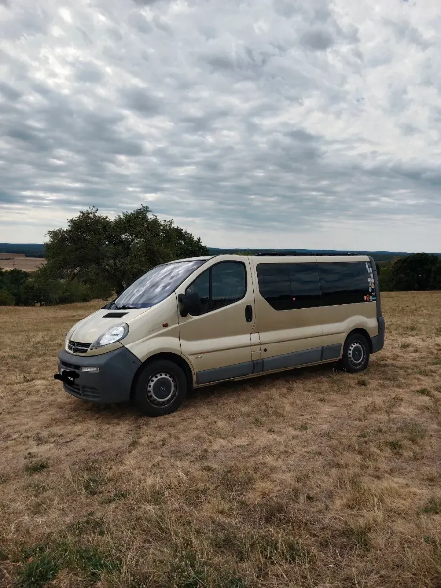 Opel Vivaro 2005 photo 3