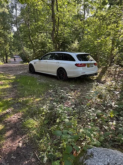 Mercedes-Benz E63 2019 photo 2