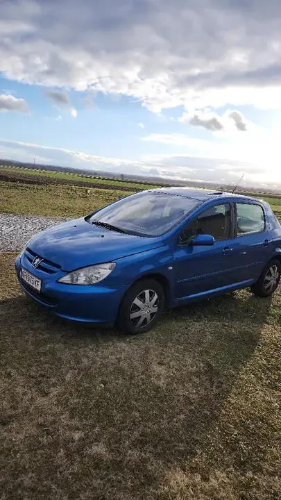 Peugeot 307 2004 photo 2
