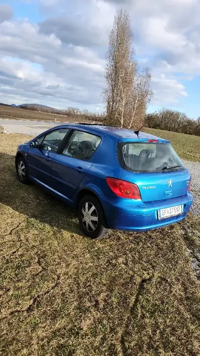Peugeot 307 2004 photo 3