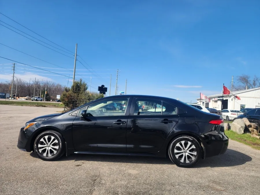Toyota Corolla 2022 photo 5